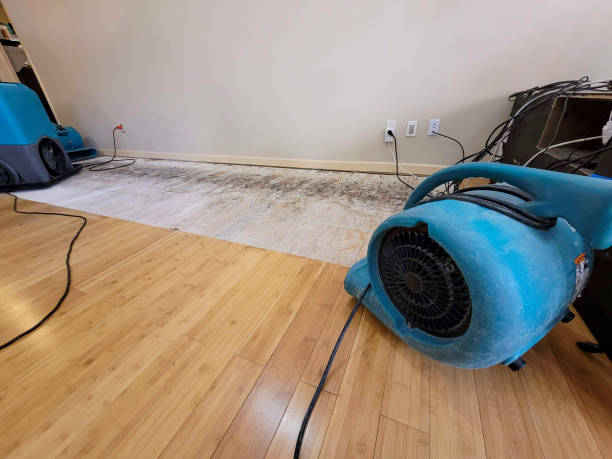 Professional Sewage Cleanup technician working in Notrees, TX